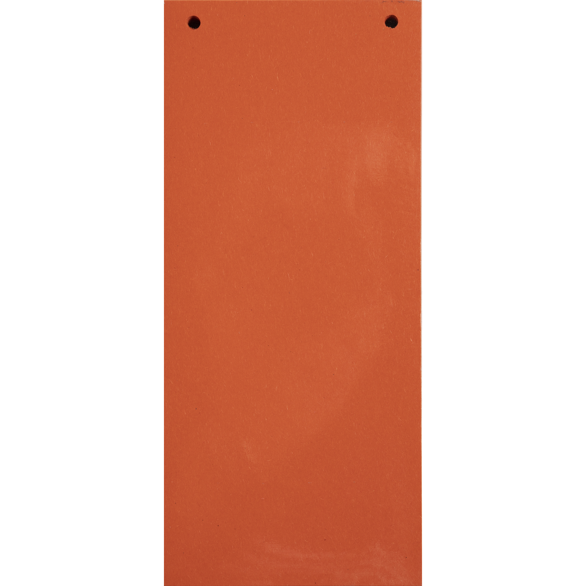 EXACOMPTA 100 Trennstreifen, 2-fach gelocht, Recyclingkarton 180g, einfarbig, 105x240mm, Forever - Orange